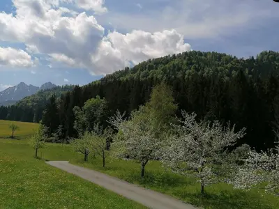 Naturlandschaft in der Nähe der Ferienwohnung