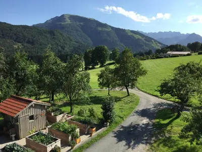 Naturlandschaft in der Nähe des Bauernhofs