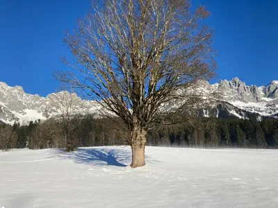 Naturlandschaft in der Nähe der Ferienwohnung