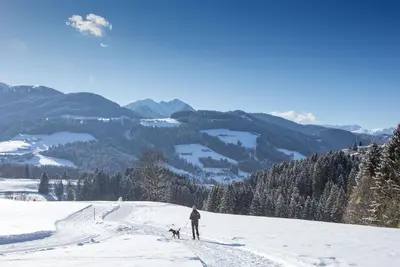 Waldhof Roggenboden im Winter