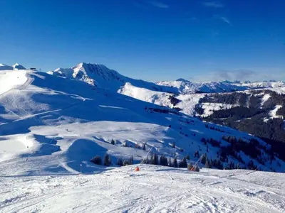 Flat in Mittersill near Hohe Tauern Ski Slopes im Winter