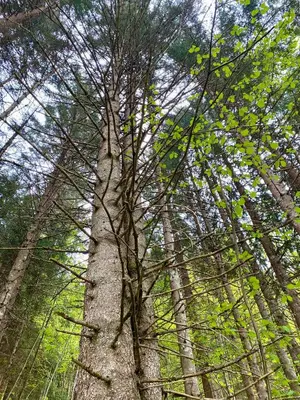 Naturlandschaft in der Nähe der Ferienwohnung