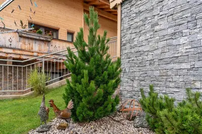 Ein Garten an der Unterkunft Ferienhaus Johanna in Mayrhofen-Hippach- Nähe der Skipiste