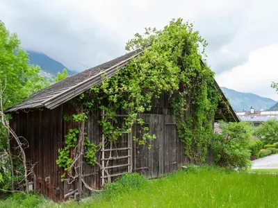 Naturlandschaft in der Nähe der Ferienwohnung