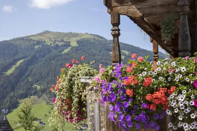 Ein allgemeiner Bergblick oder ein Berglick von des Bauernhofs aus