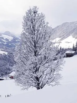 Außer Roßmoos im Winter
