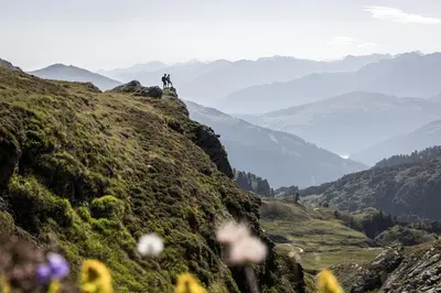 Naturlandschaft in der Nähe des Ferienhauses
