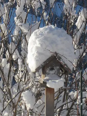 Apartment Acker im Winter