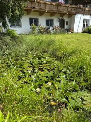 Ein Garten an der Unterkunft Bergblick