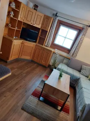 TV/Unterhaltungsangebot in der Unterkunft Apartment Voithofer