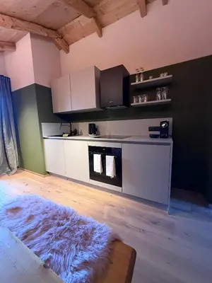 Küche/Küchenzeile in der Unterkunft GOLDMARIE - Apartments