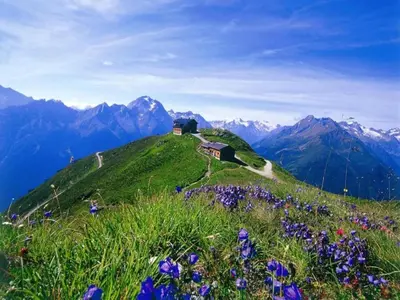 Naturlandschaft in der Nähe der Ferienwohnung
