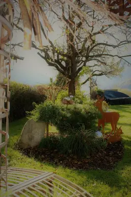 Ein Garten an der Unterkunft Appartement Steger