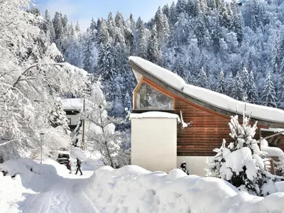 Im Wald im Winter