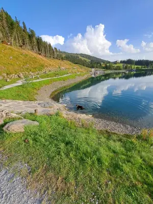 Naturlandschaft in der Nähe der Ferienwohnung