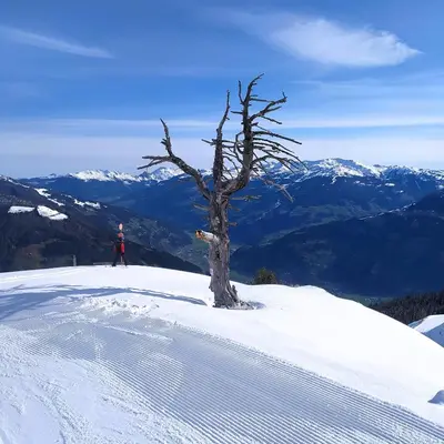 Ein allgemeiner Bergblick oder ein Berglick von der Ferienwohnung aus