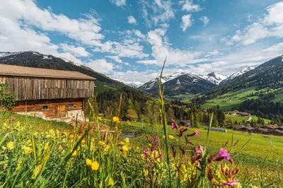 Naturlandschaft in der Nähe des Ferienhauses