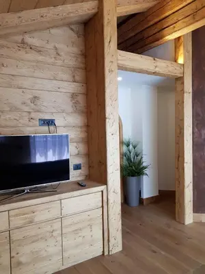 TV/Unterhaltungsangebot in der Unterkunft Südberge by Apartment Managers