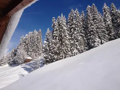 Ferienwohnungen Prosser im Winter