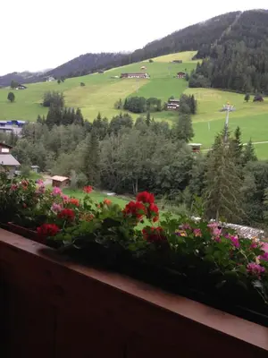 Ein allgemeiner Bergblick oder ein Berglick von der Ferienwohnung aus