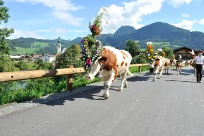 Tiere in der Ferienwohnung oder in der Nähe