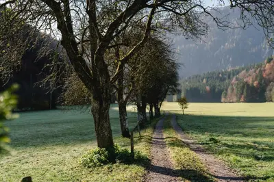 Naturlandschaft in der Nähe der Ferienwohnung