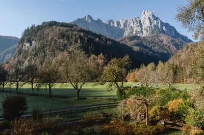 Naturlandschaft in der Nähe der Ferienwohnung