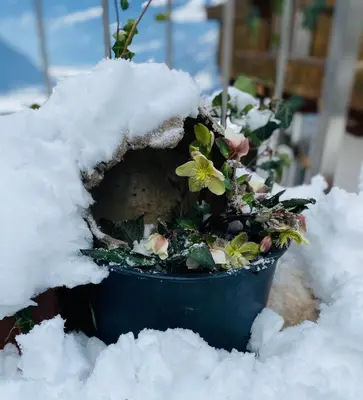 FeWoKlocker im Winter