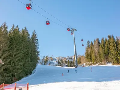Gamsraute im Winter