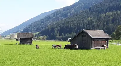 Naturlandschaft in der Nähe der Ferienwohnung