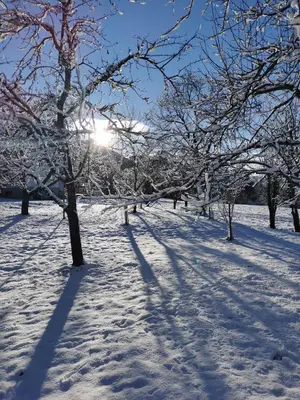 Ferienwohnung Tommarlhof im Winter