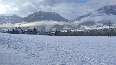 Apart Loris im Winter