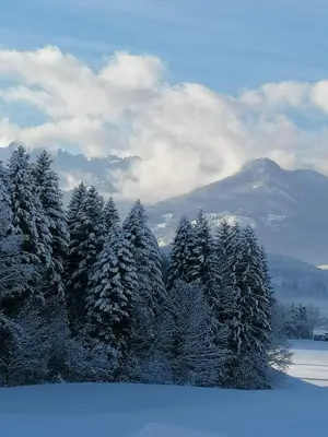 Naturlandschaft in der Nähe der Ferienwohnung