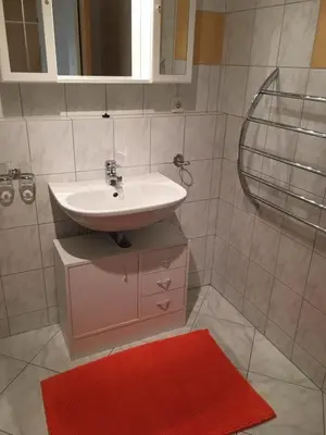 Ein Badezimmer in der Unterkunft Grosszügige Wohnung am Waldrand
