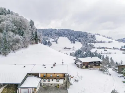 Tiroler Bergtraum Top 1 im Winter
