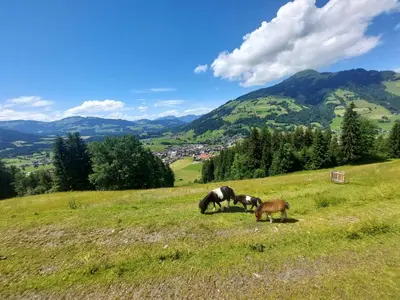 Naturlandschaft in der Nähe der Ferienwohnung
