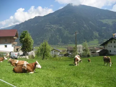 Tiere in der Ferienwohnung oder in der Nähe