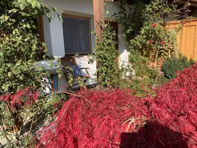 Ein Garten an der Unterkunft Chalet in Tyrol for 6 people