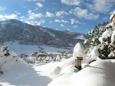 Chalet in Tyrol for 6 people im Winter