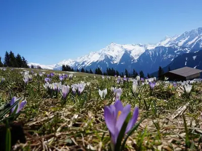 Naturlandschaft in der Nähe des Ferienhauses