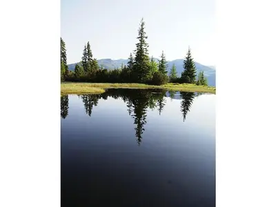 Naturlandschaft in der Nähe des Ferienhauses