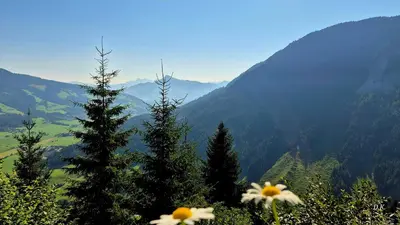 Naturlandschaft in der Nähe der Ferienwohnung