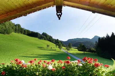 Ein allgemeiner Bergblick oder ein Berglick von des Ferienhauses aus