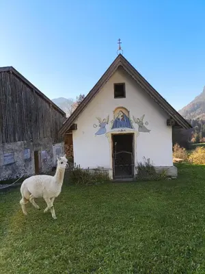 Grundriss der Unterkunft Ferienhaus Paulnhof Erl - Alpenglück für Gruppen, Freunde & Teams