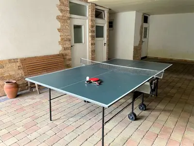 Tischtennis in der Unterkunft Apartment Eberharter-3 by Interhome oder in der Nähe