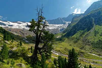 Naturlandschaft in der Nähe der Ferienwohnung