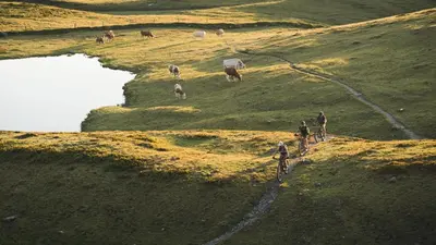 Naturlandschaft in der Nähe des Chalets