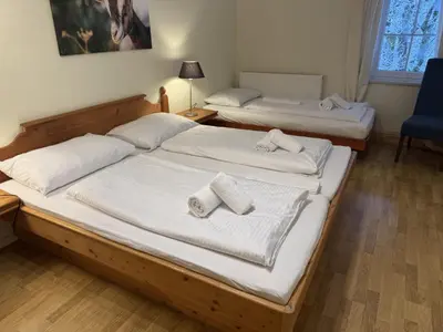 Ein Bett oder Betten in einem Zimmer der Unterkunft Alpenlodge, Ferienwohnung 16