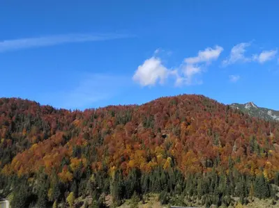Naturlandschaft in der Nähe des Bauernhofs