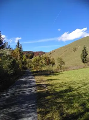 Naturlandschaft in der Nähe des Bauernhofs